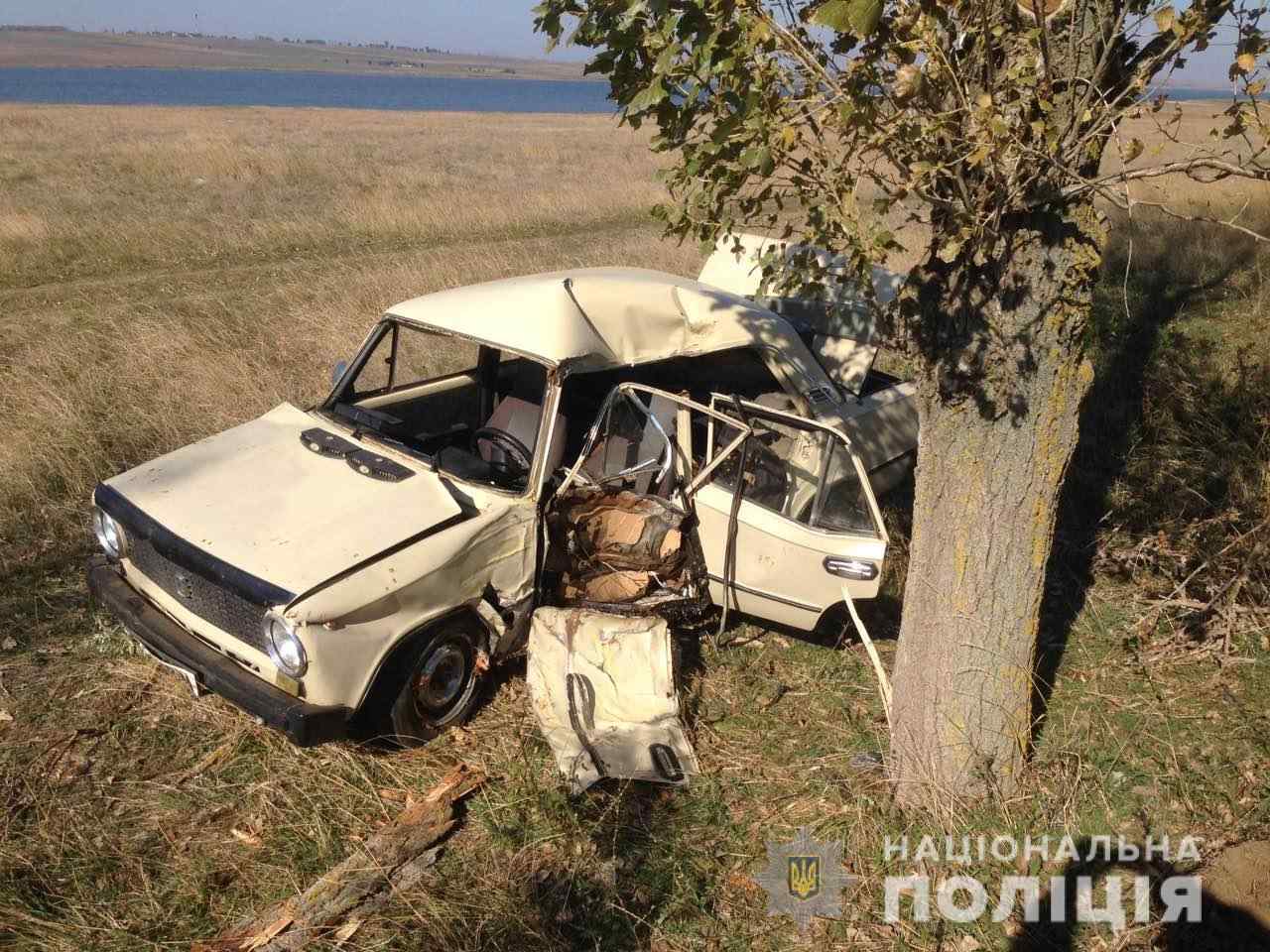 ДТП в Одесской области: водитель «Жигули» врезался в дерево и погиб. Фото