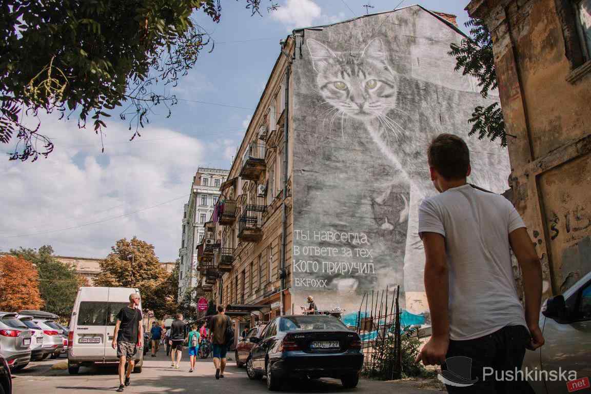 «Монохромный» кот с зелеными глазами: художница из Америки закончила мурал в центре Одессы. Фото