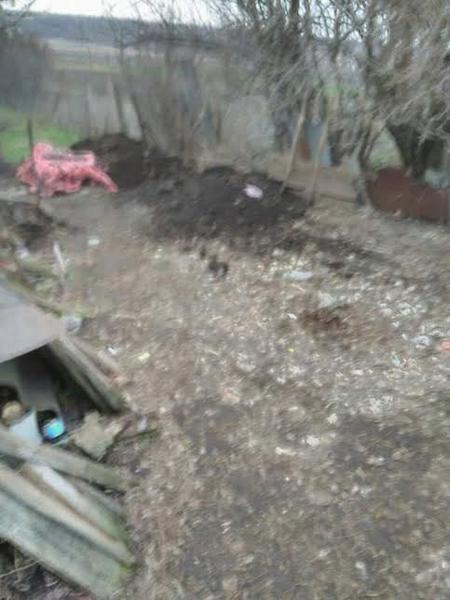 На Николаевщине мужчина убил мать пятерых детей и закопал ее у себя во дворе (фото)