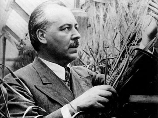 Сын Николая Вавилова: В Африке отец чудом спасся от льва. А от НКВД спастись не удалось