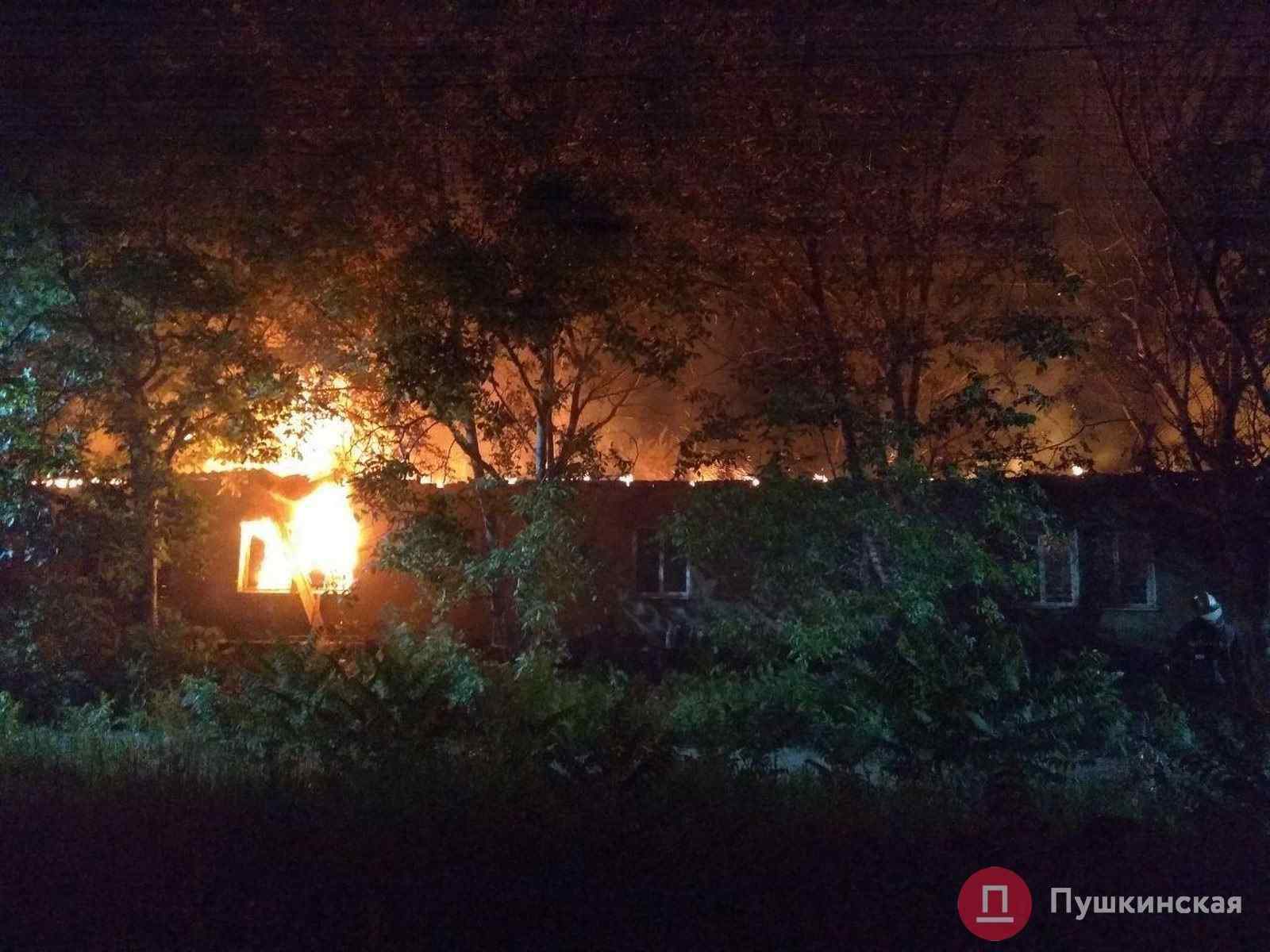 Трагедия в психиатрической больнице: причины, количество жертв и халатность руководства