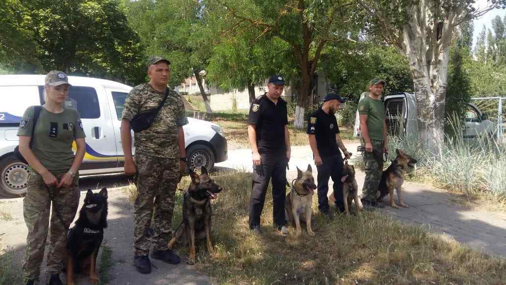 В Одесской области продолжают искать Дашу Лукьяненко: задействовали собак, обученных на поиск трупов
