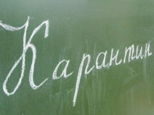 В школах двух городов продлили карантин