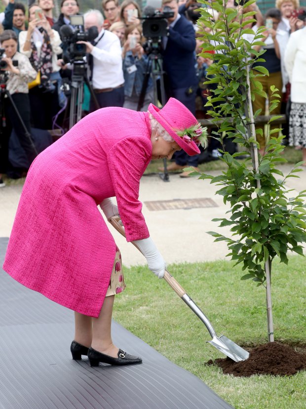93-летняя Елизавета II поражает: почему королева взяла в руки лопату – видео