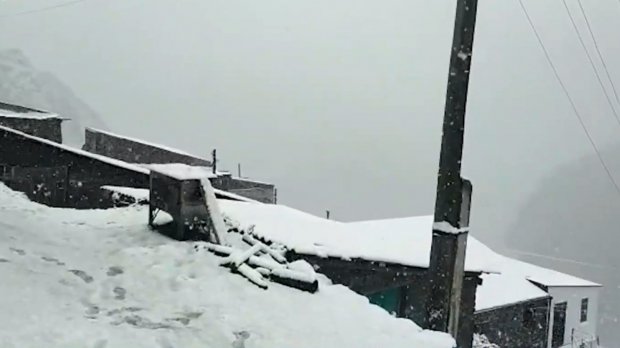 Больная планета
