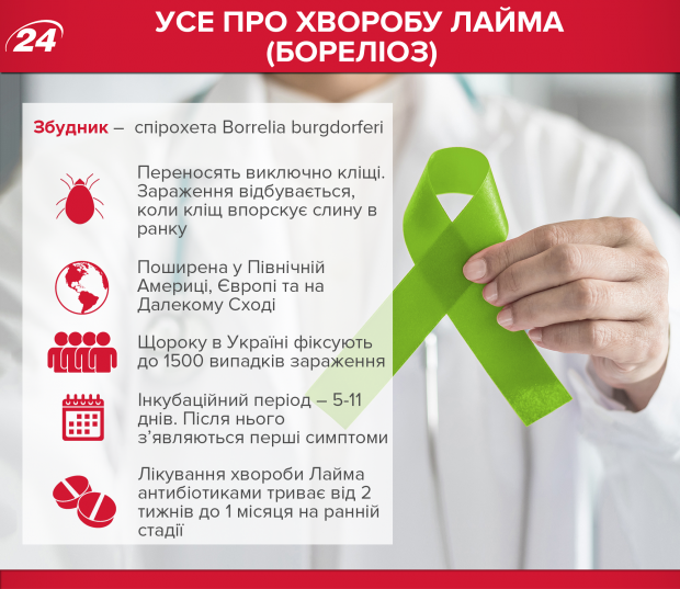 Болезнь Лайма: симптомы и лечение опасной инфекции