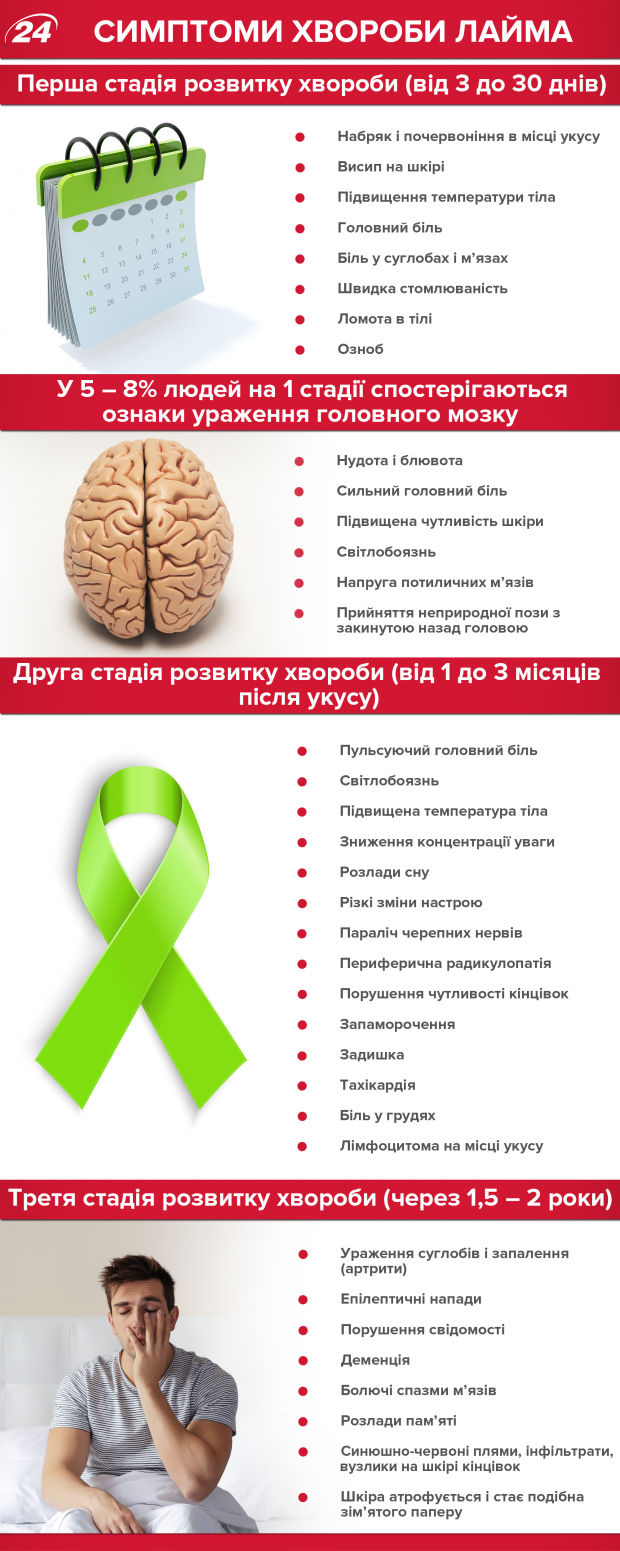 Болезнь Лайма: симптомы и лечение опасной инфекции