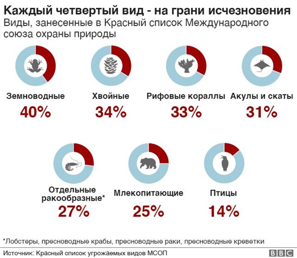 Человек стал причиной нового вымирания. Что делатьСюжет