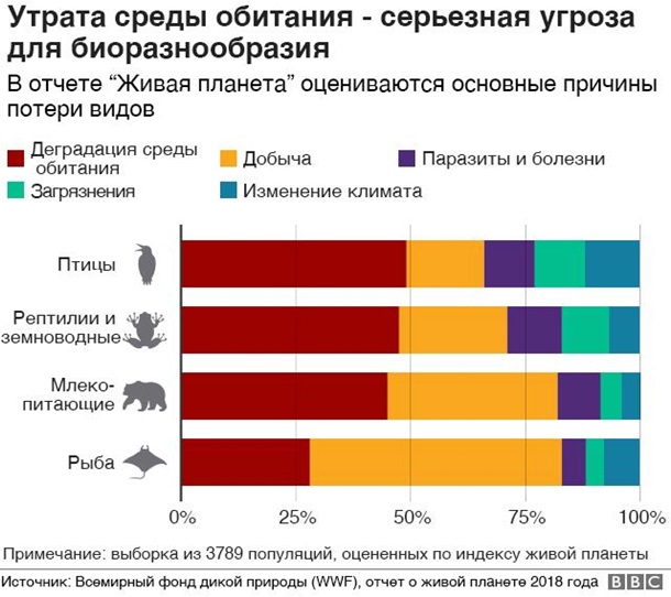 Человек стал причиной нового вымирания. Что делатьСюжет