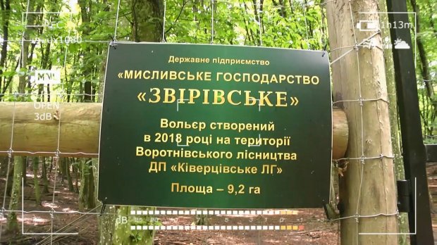 Чиновник зробив елітний курорт у державному ботанічному заказнику: вражаючі фото
