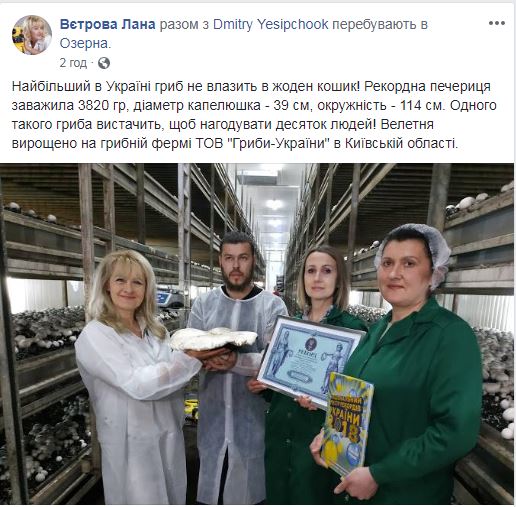 Гриб-гигант весом почти 4 килограмма вырастили под Киевом: впечатляющее фото