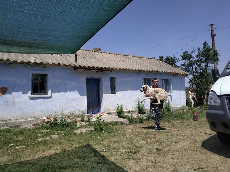 История «живодерни» под Одессой: волонтеры с трудом удержались от самосуда над владельцем питомника (фото)