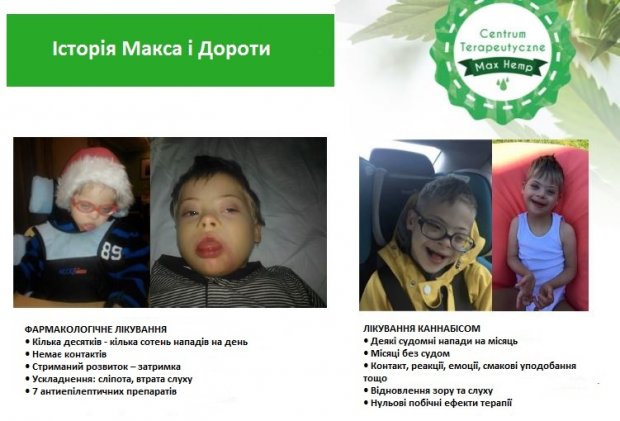 Медицинский каннабис: как и что лечит конопля в мире