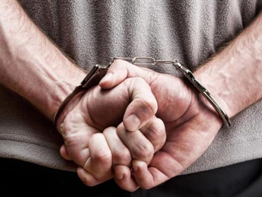 Подозреваемого в нападении на активистку Гандзюк отпустили (видео)