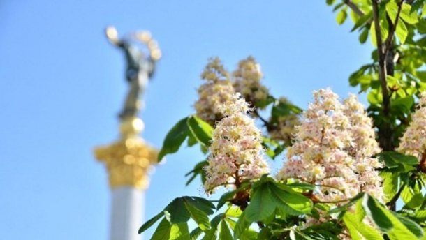 Прогноз погоды на 17 мая: Запад продолжит умываться дождями, а на Юге – до +30
