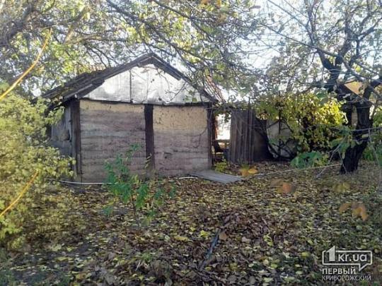 Рецидивист и его друг из России убили и закопали в теплице пять человек: детали жуткого ЧП в Кривом Роге (фото)
