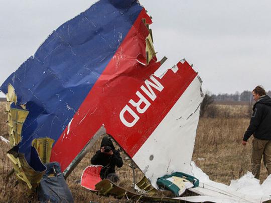 Следующий шаг после публикации доклада по MH-17 — Гаага, — Сотник
