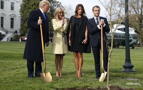 СМИ рассказали, куда исчез дуб, привезенный Макроном в подарок Трампу