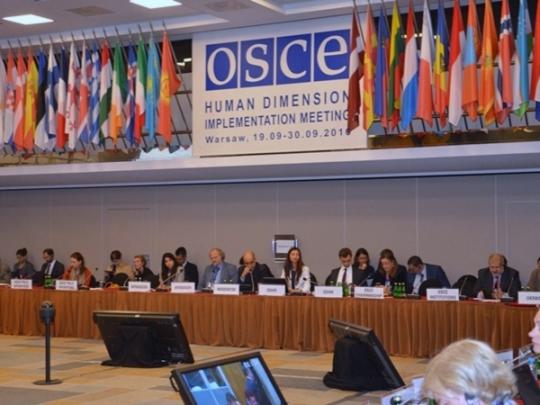 СМИ узнали о провокации россиян на конференции ОБСЕ по вопросу венгров в Украине