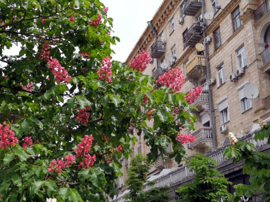 Солнце и грозы: синоптик рассказала о погоде 24 мая