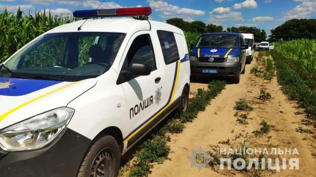 Співробітницю Верховної Ради ймовірно вбили: фото