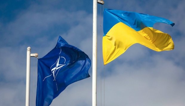 Українські партії: що планують робити з війною та куди тримають курс?