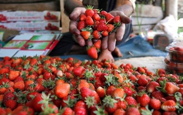 Украина рекордно нарастила экспорт ряда продуктов