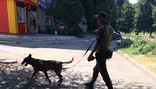 Ушла в магазин и не вернулась: на Днепропетровщине нашли убитой 13-летнюю девочку (фото)