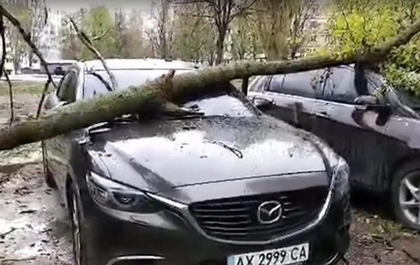 В Харькове упавшее на авто дерево едва не убило человека