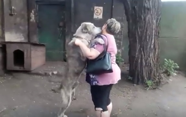 В Мариуполе украденный алабай через два года вернулся домой