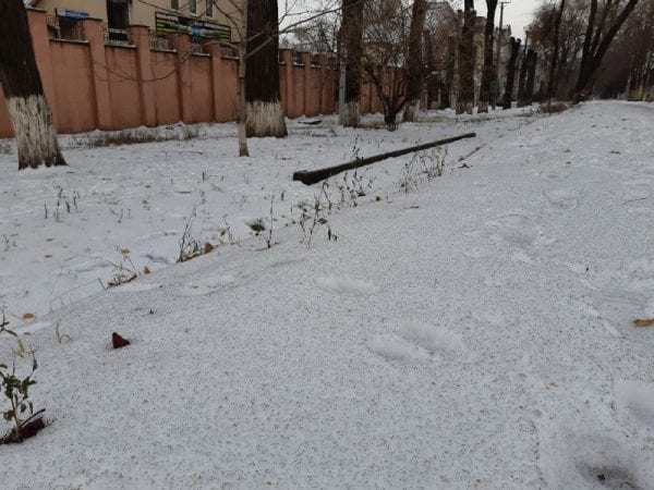 В одном из городов Украины выпал черный снег: красноречивые фото