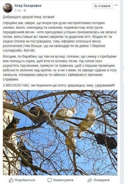 Вхурделило: реакция Сети на погоду 1 марта