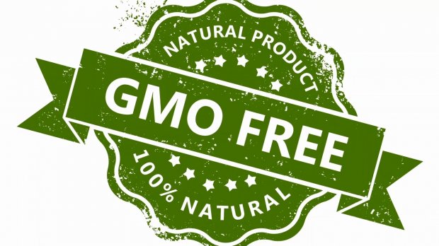 Як правильно харчуватися та обирати продукти: важливі поради