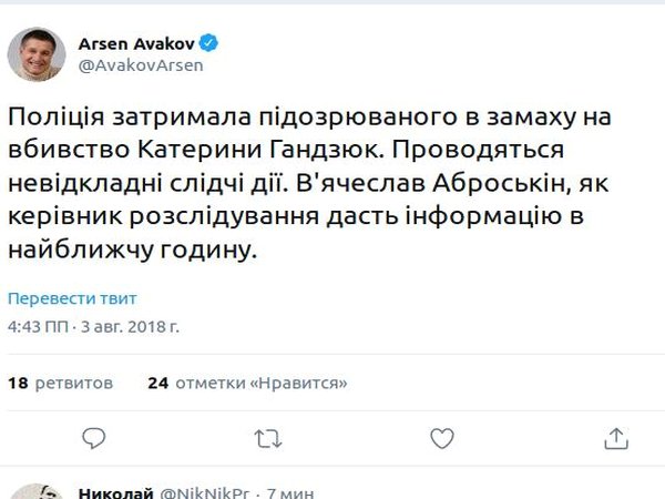 Задержан подозреваемый в нападении на Екатерину Гандзюк