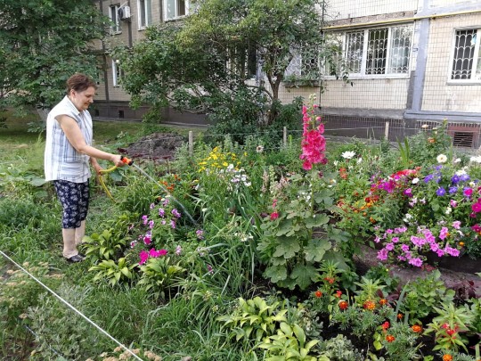 Жара и дожди: синоптики рассказали о погоде в июле