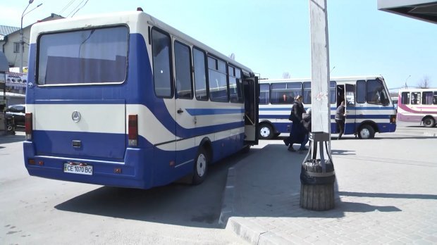 Желтые маршрутки или современные автобусы: что изменила транспортная реформа