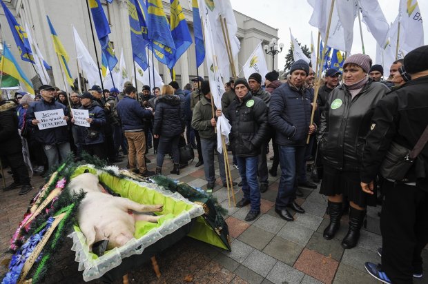 Чому українців лякає ринок землі і які наслідки запровадження закону