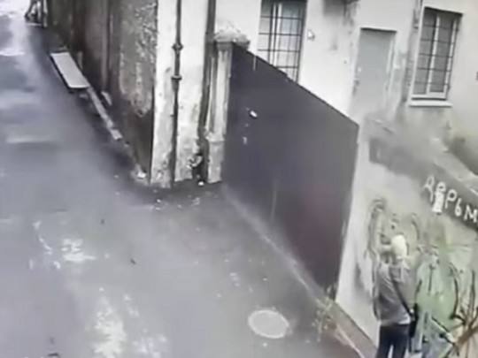 В Ровно ищут лысого хулигана, оскорбившего Украину (видео)