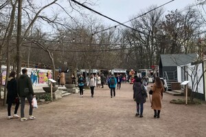 Лето не за горами: Зеленый театр в Одессе открыл новый сезон