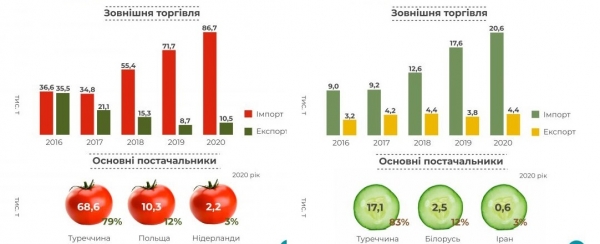 
Украинцы удвоили потребление импортных огурцов и помидоров за пять лет
