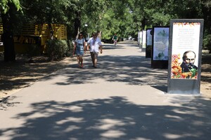 В одесском парке появилась аллея Тараса Шевченко: что она собой представляет 
