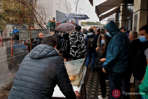 У одесского «Привоза» высадили первые 28 акаций из обещанной мэром тысячи. Фото