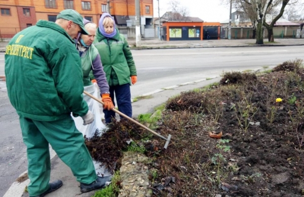 Зимнее озеленение: в Одессе продолжают сажать розы