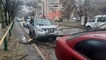 
В Киеве обледеневшие деревья массово падают на машины, одно рухнуло прямо на рынке – фото
