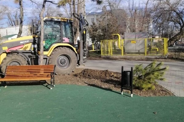 На улицах Одессы коммунальщики посадили сосны