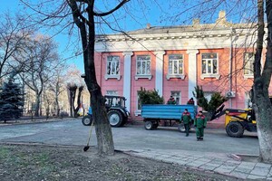 На улицах Одессы коммунальщики посадили сосны