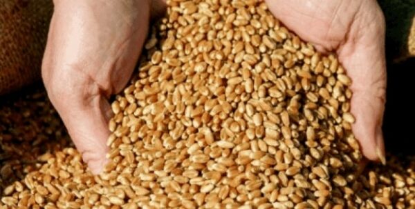 &laquo;Себя прокормим&raquo;: у Зеленского оценили запасы продуктов в Украине