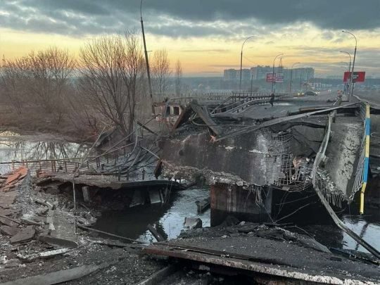 Своїх собак не&nbsp;кинув і&nbsp;навіть ніс половину шляху: українцеві довелося заради порятунку добиратися 40&nbsp;км пішки до&nbsp;Києва