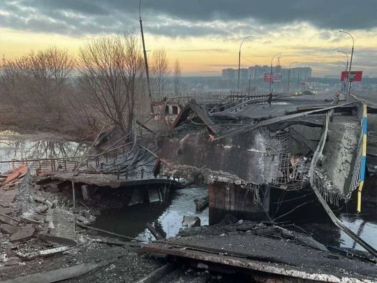 Своїх собак не кинув і навіть ніс половину шляху: українцеві довелося заради порятунку добиратися 40 км пішки до Києва