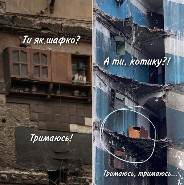 «Це Глорія»: кішка, що дивом вижила в зруйнованому будинку Бородянки, стала новим символом стійкості українців